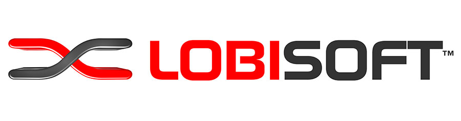 LOBISOFT, servicios informáticos a medida